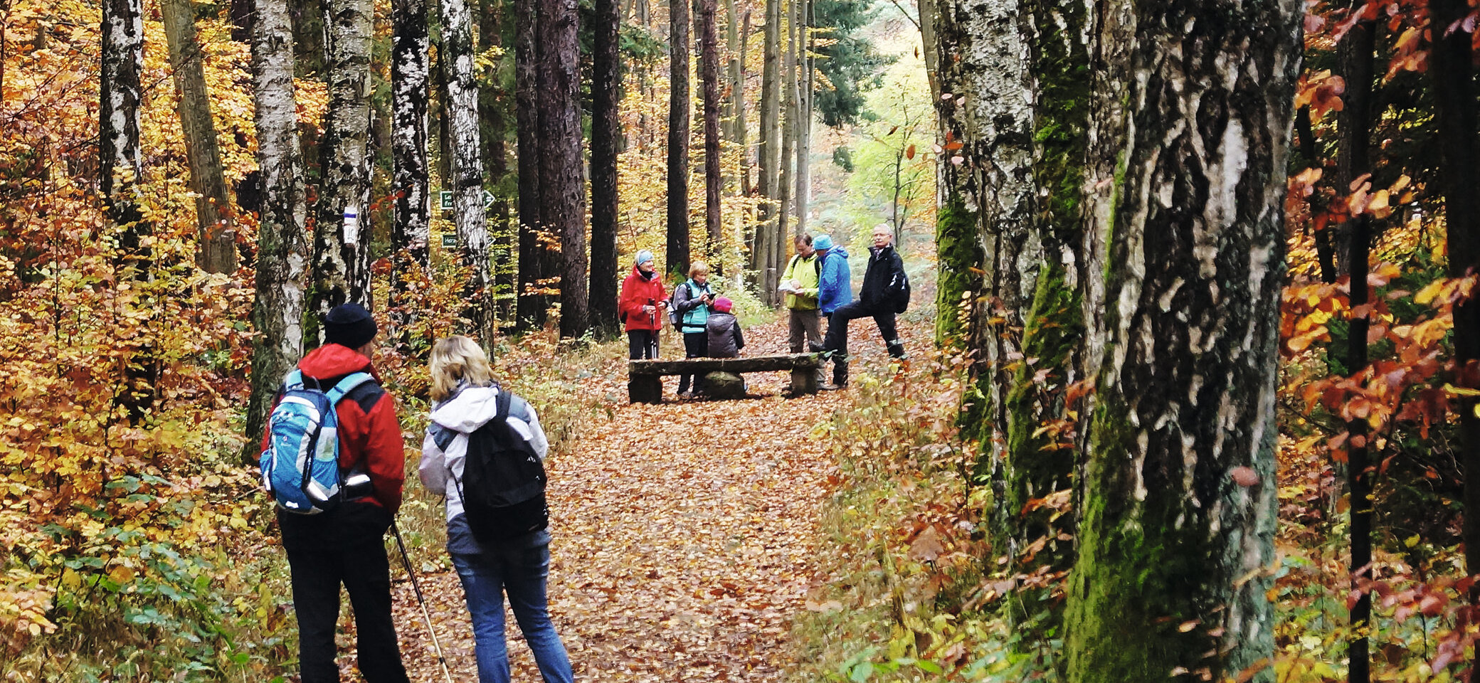 Herbstwanderung | © DAV/Reinhard Lilienthal