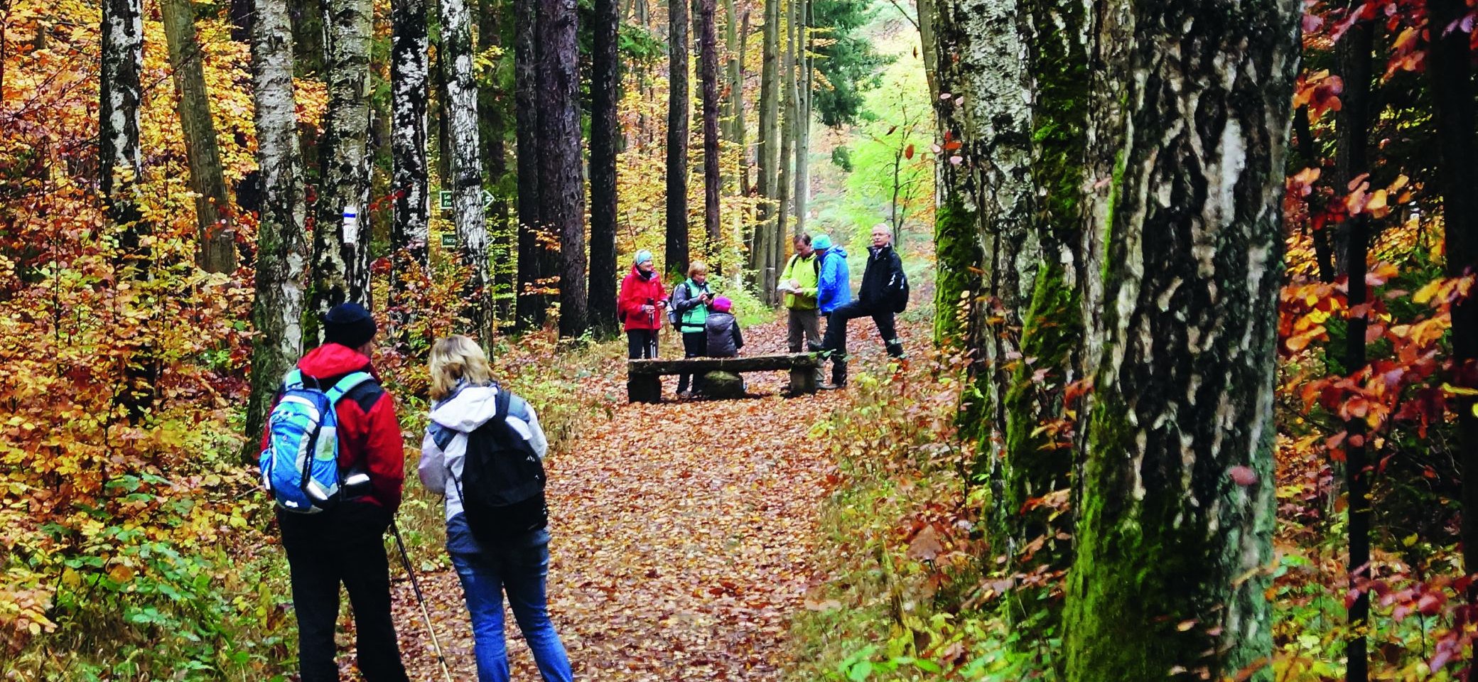 Herbstwanderung | © Gitti Bestvater